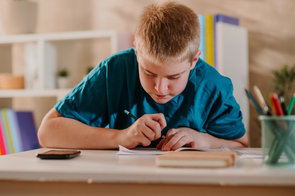 Teaching Comprehension Strategies