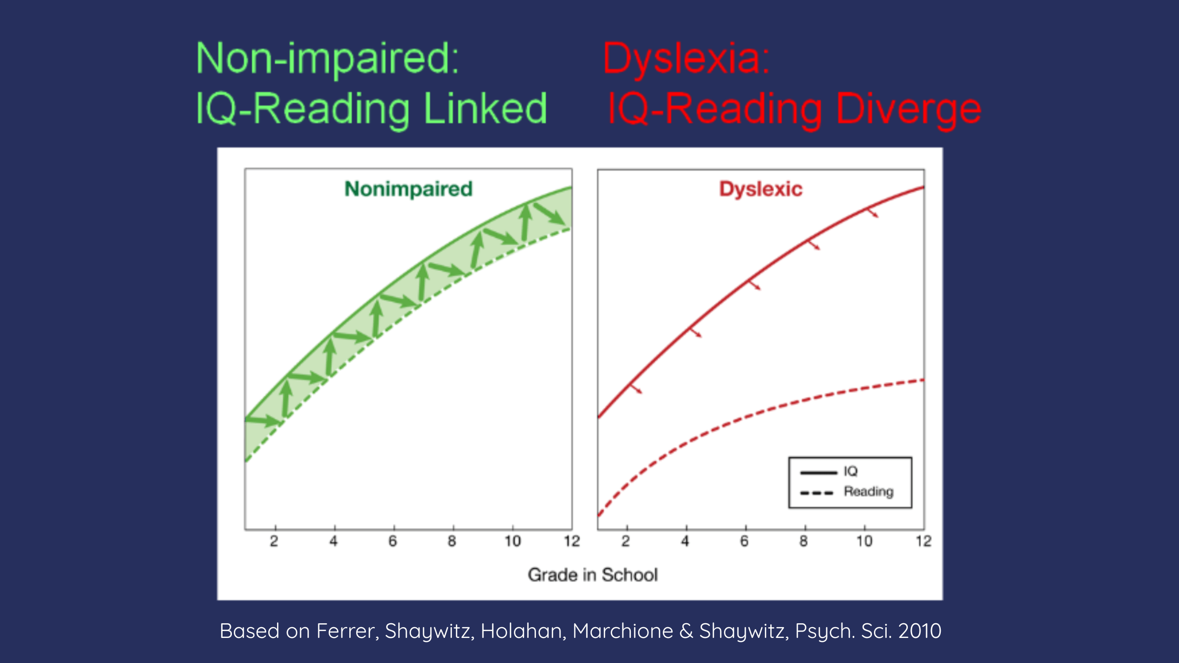 Research showing that dyslexia is not linked to intelligence