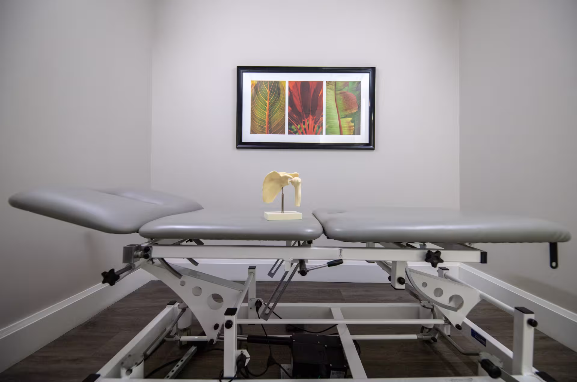 Medical examination table with gray cushions and a shoulder bone model on top, set against a plain wall with a framed leaf artwork.