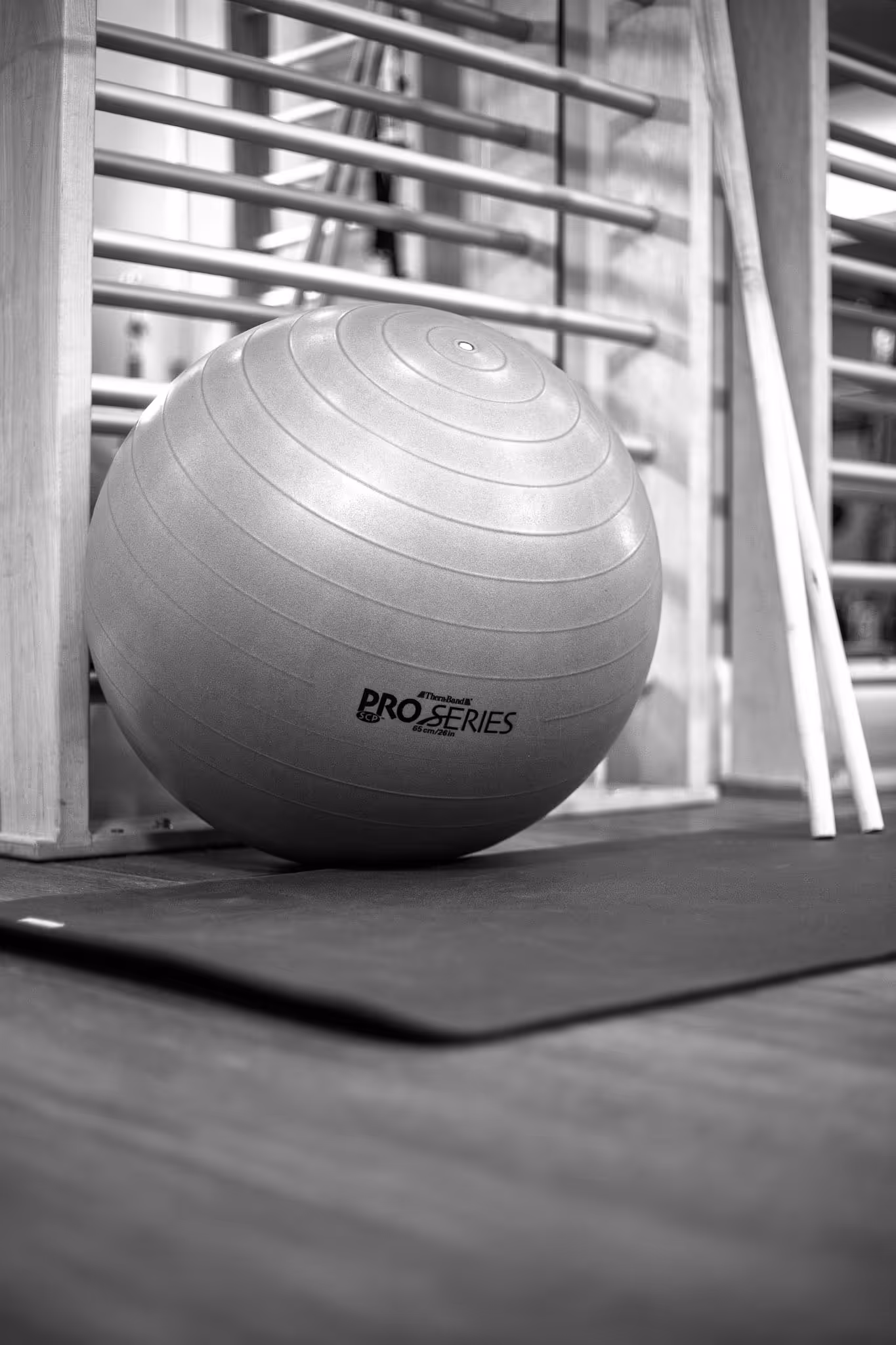 Exercise ball labeled Pro Series resting on a mat in a gym with wooden bars in the background.