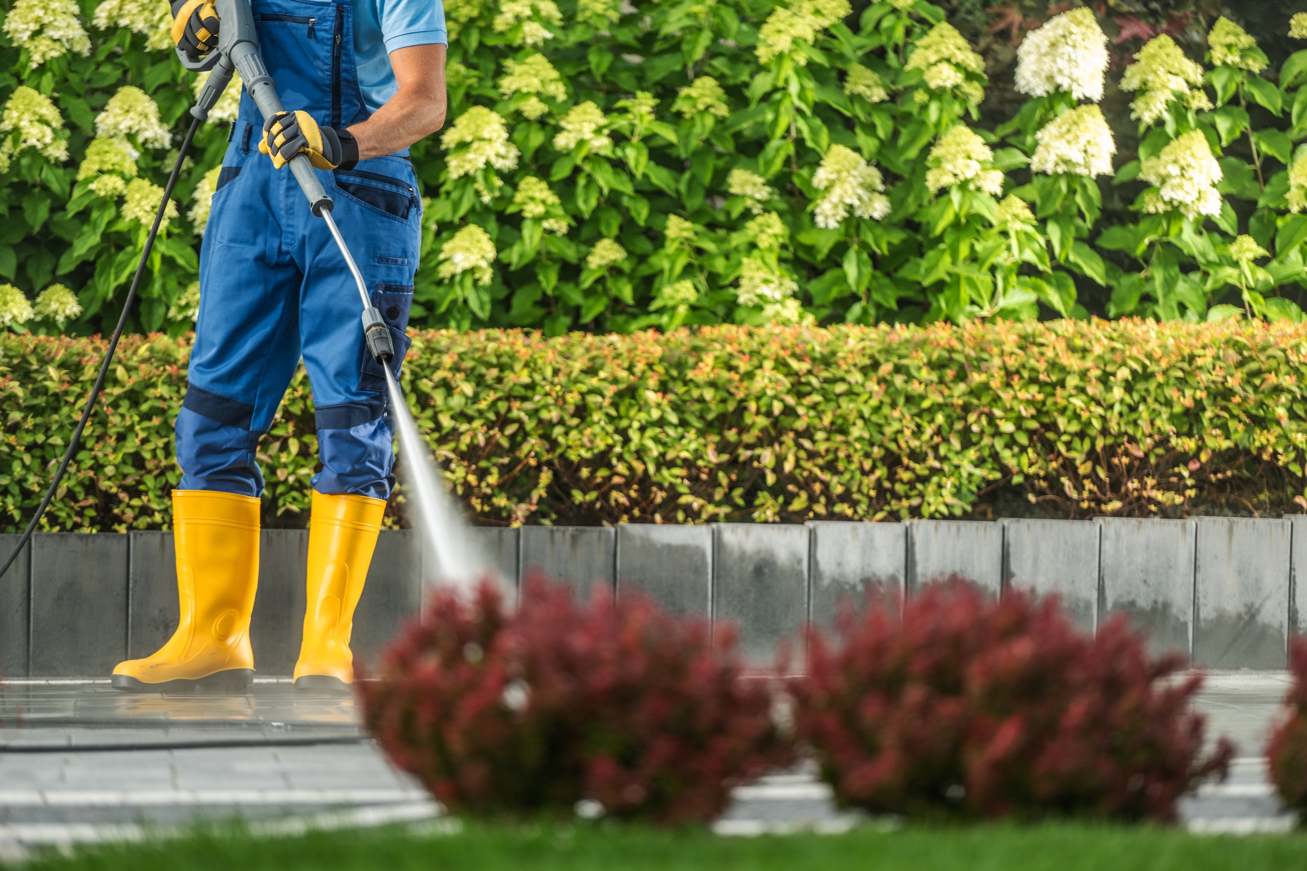 Person wearing yellow boots and blue overalls power washing an outdoor area with green shrubs and white flowers in the background.