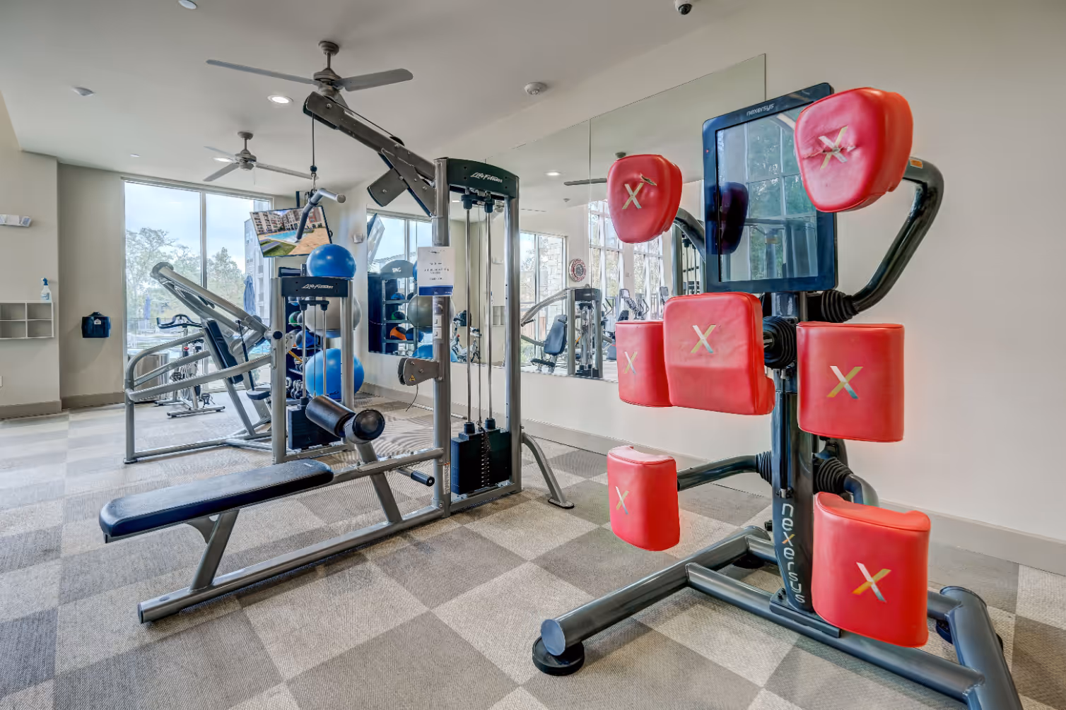 Gy with kick boxing equipment