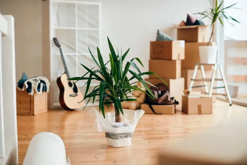 moving