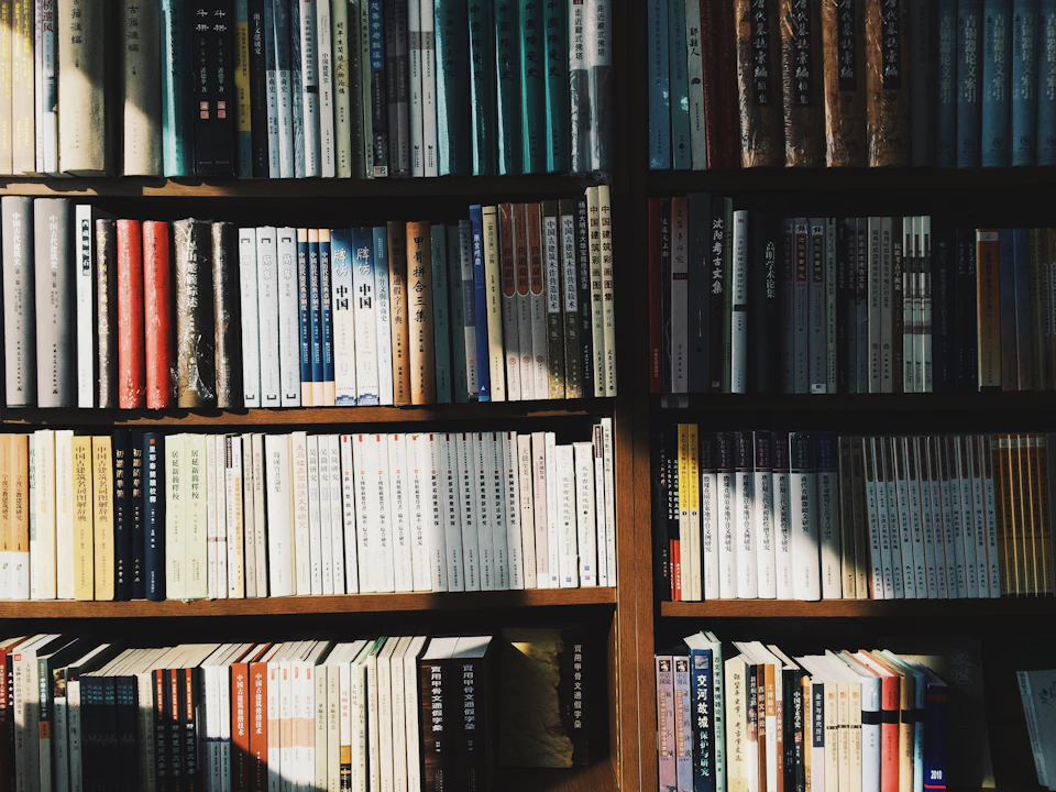 Books organized along library shelves