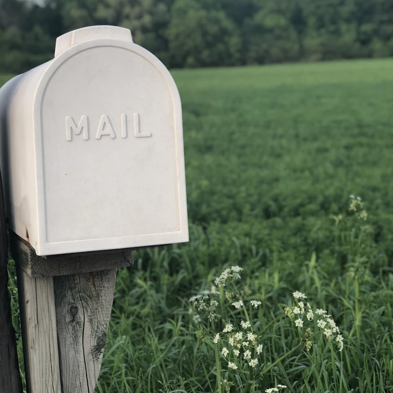 A single mailbox at the edge of a green field