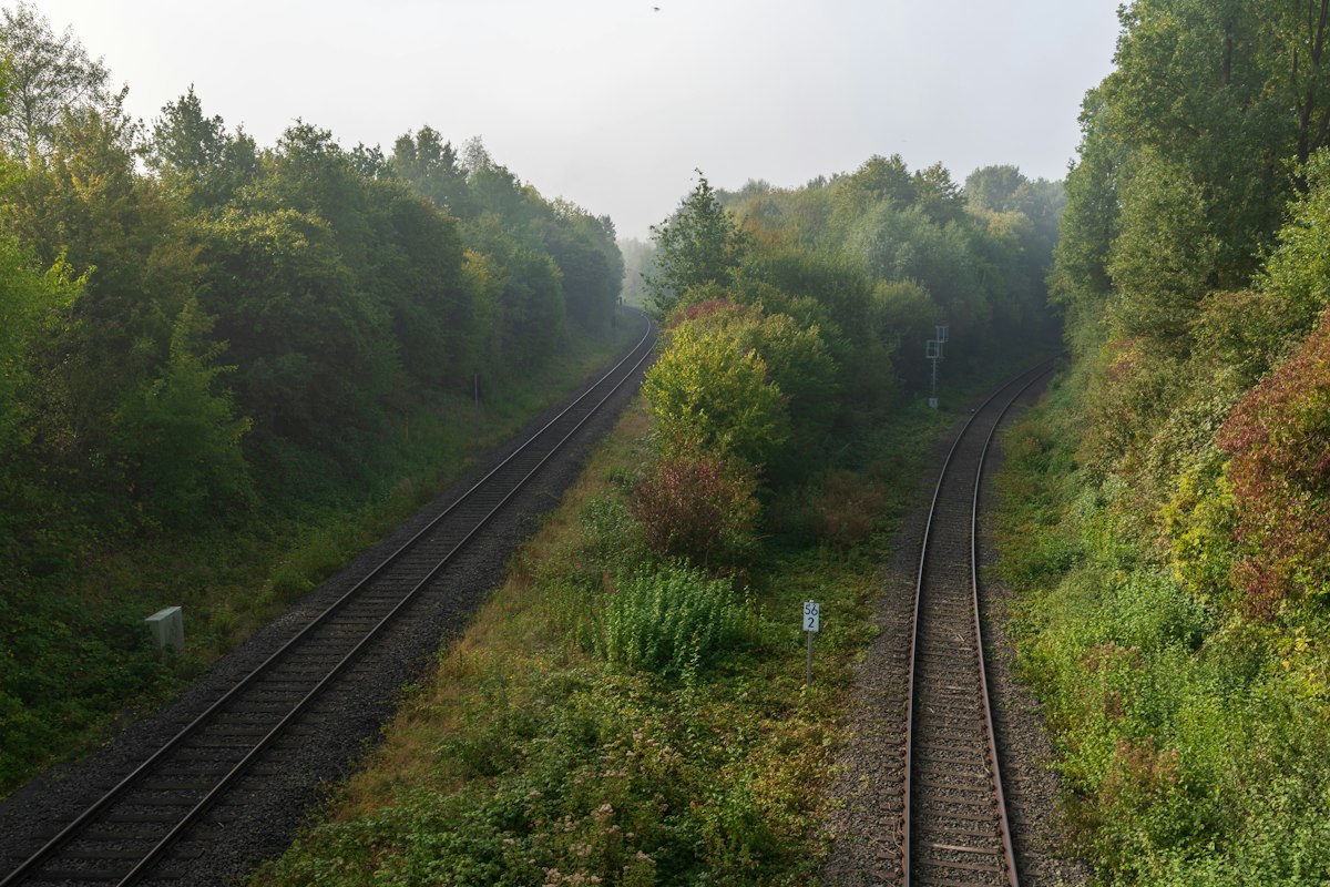 Two railway tracks splitting apart through a green forest, a picture of strategy and execution quietly heading in different directions. Photo by Sergej (@skstrannik) on Unsplash.