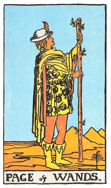 Page of Wands tarot card from the Rider deck