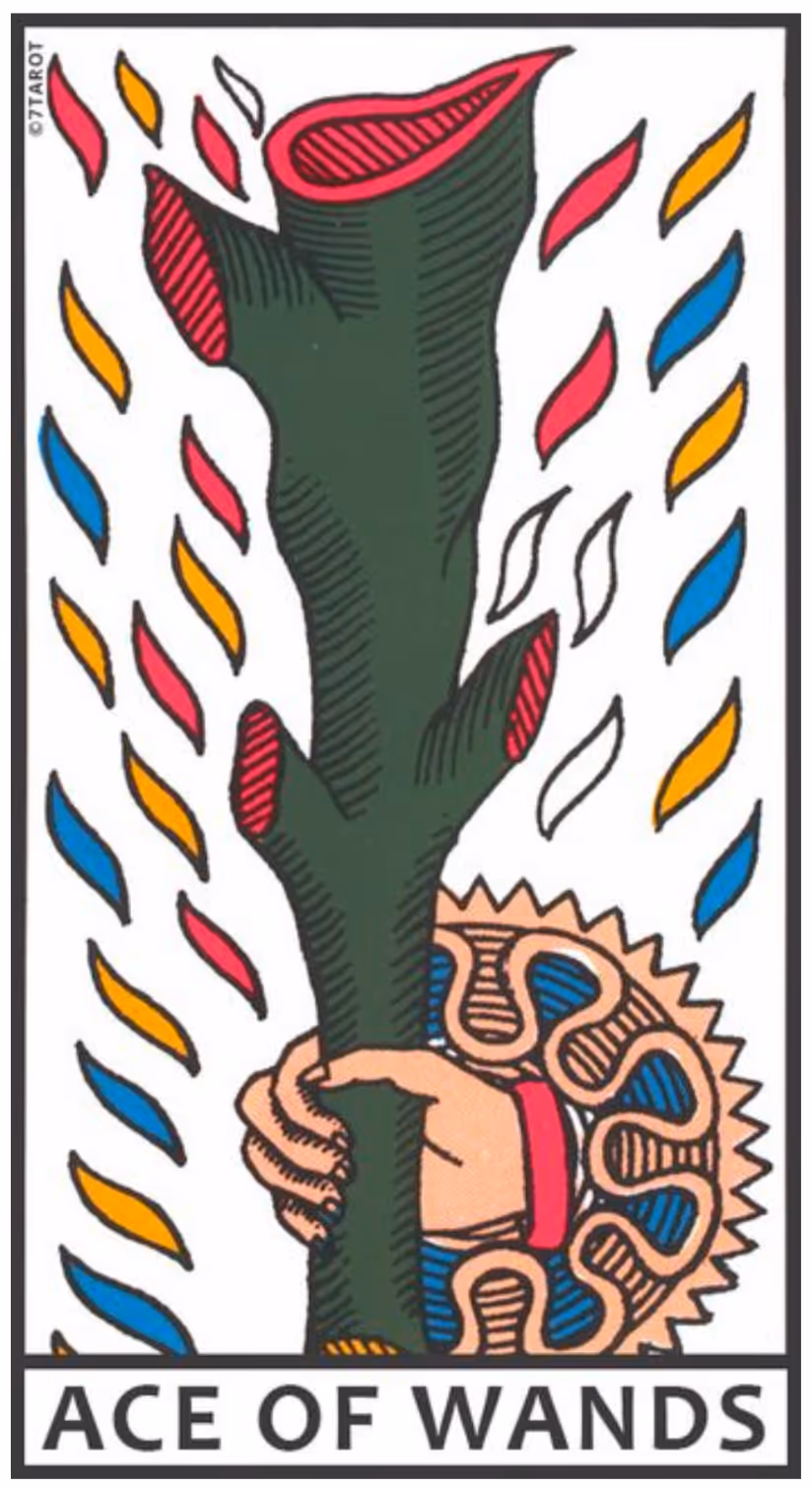 The Ace of Wands tarot card from the Rider deck