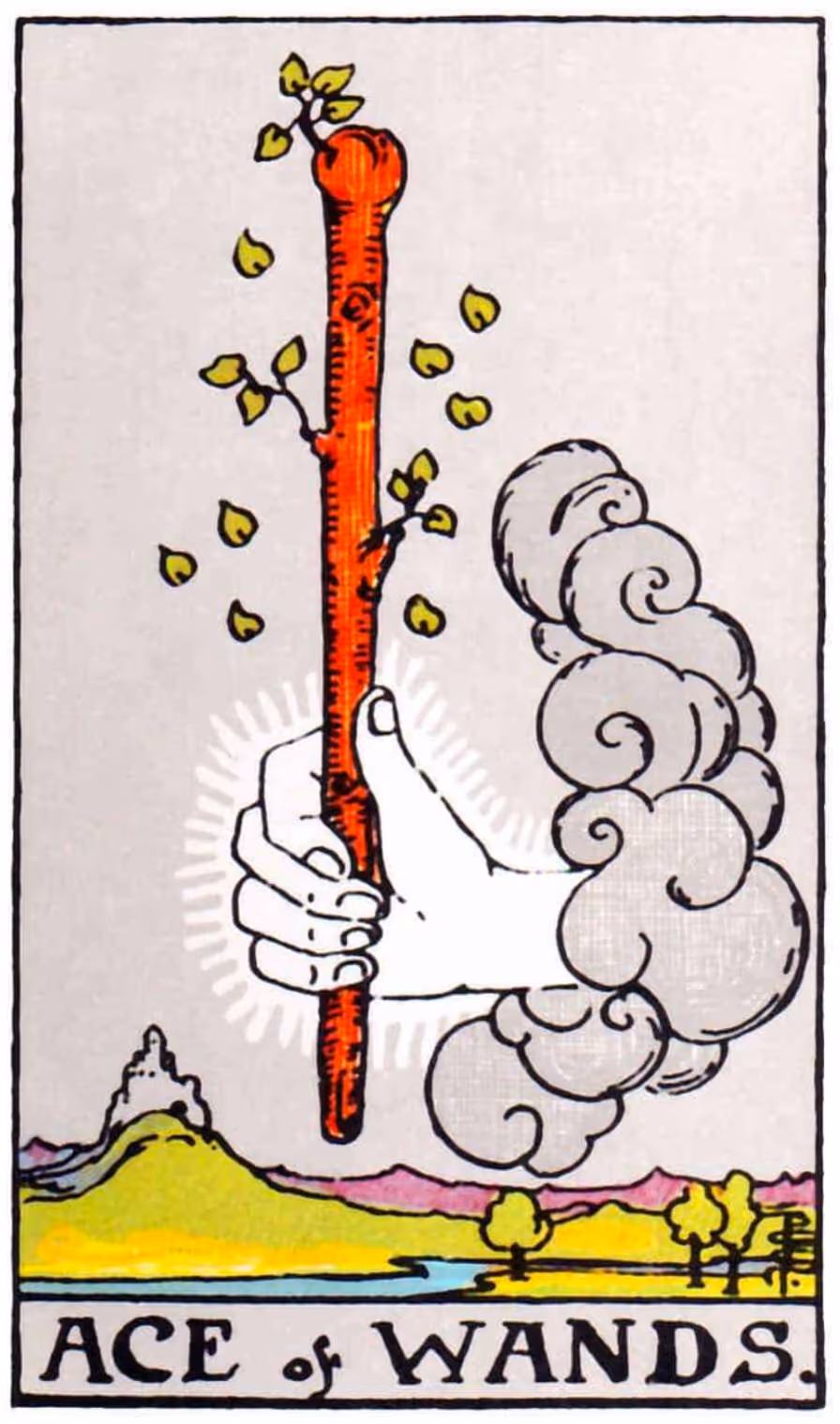 The Ace of Wands tarot card from the Rider deck