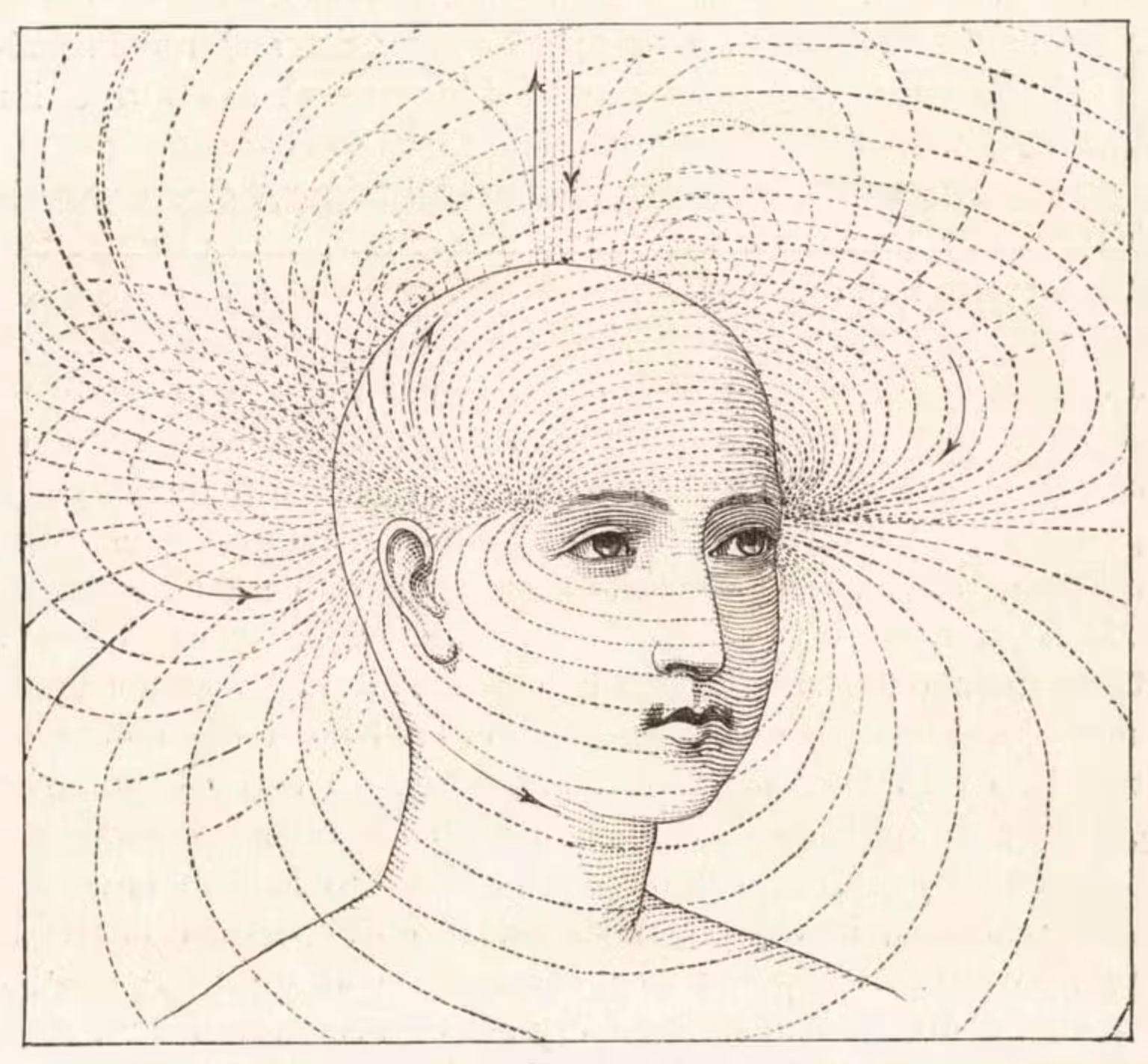 'Stalking The Wild Pendulum' Of Vibratory Attunement