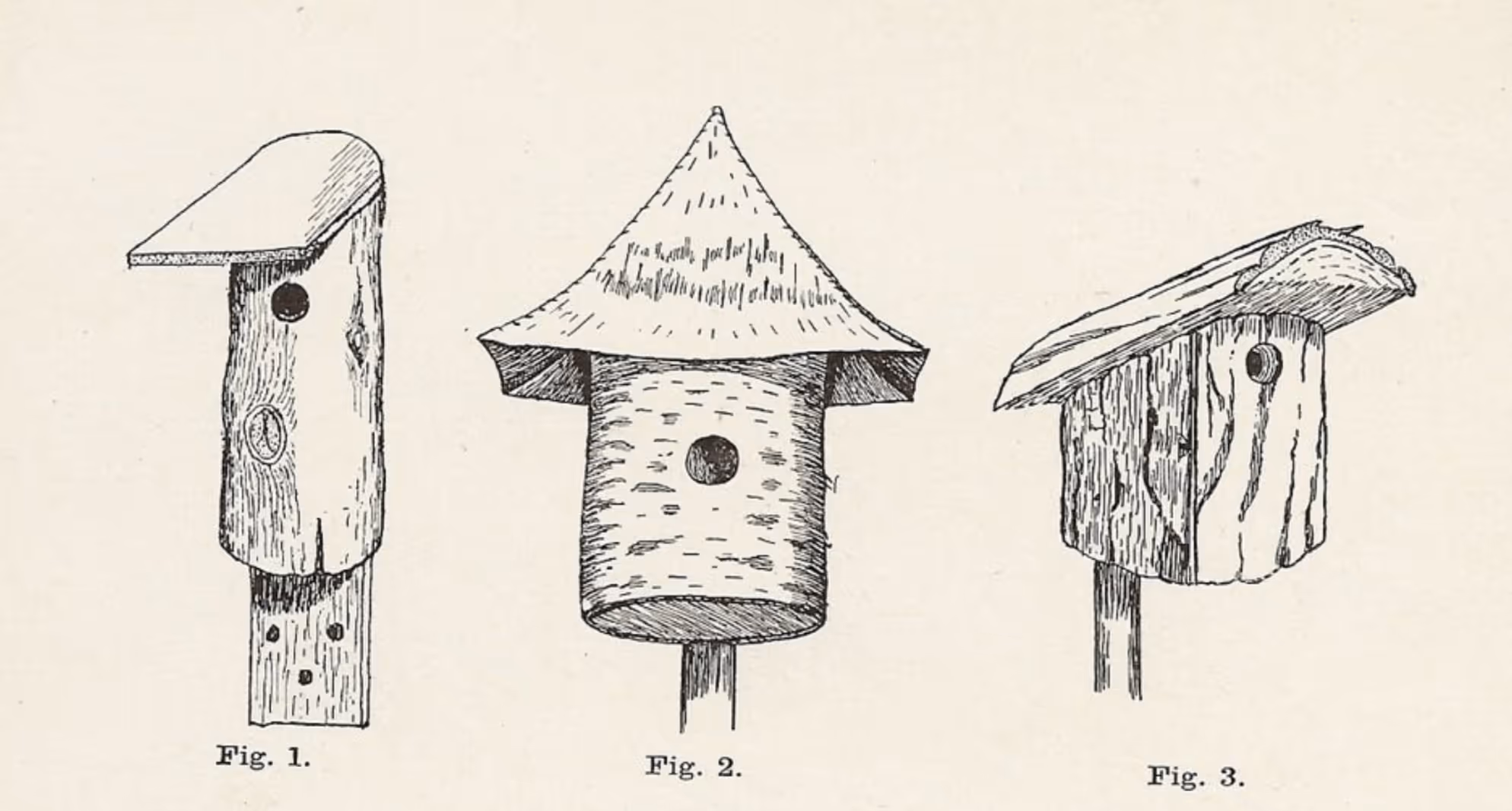 Towards an Interspecies Architecture