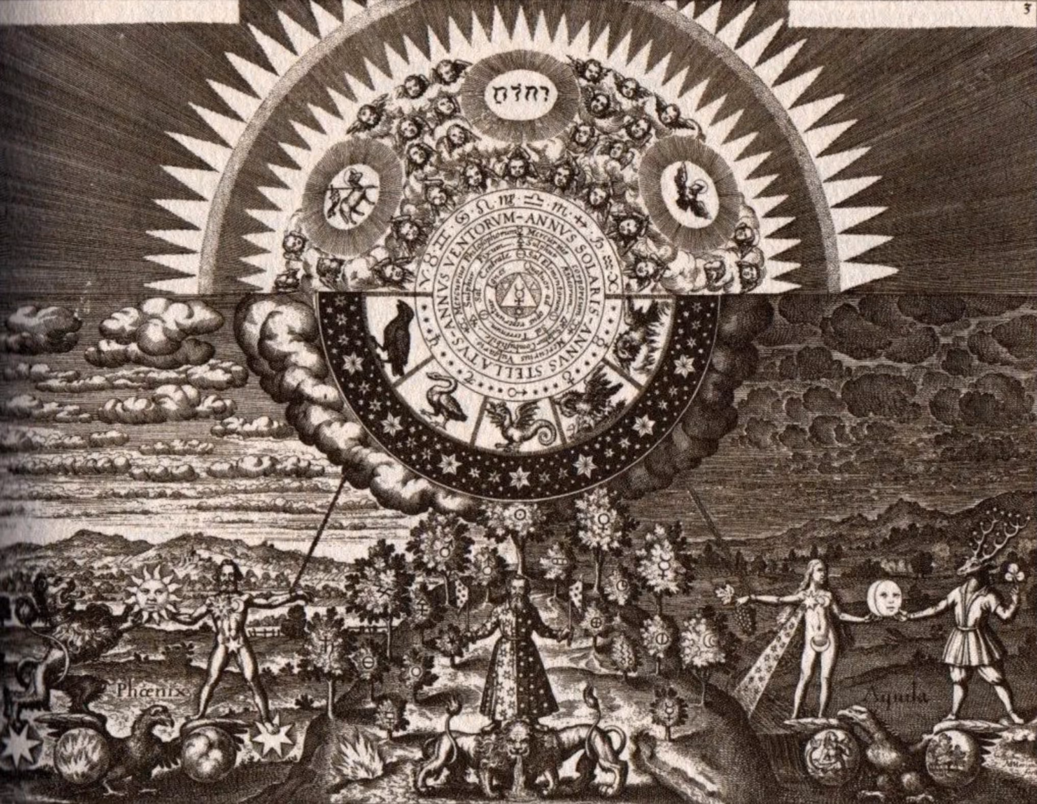 Physics, Biology and the Seven Hermetic Principles