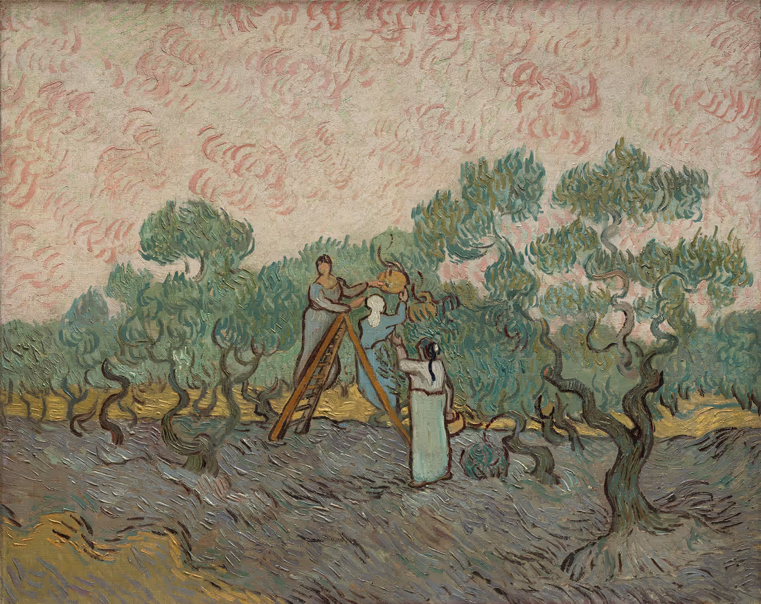 Vincent Van Gogh, Women Picking Olives, 1889. Oil on Canvas, Metropolitan Museum of Art