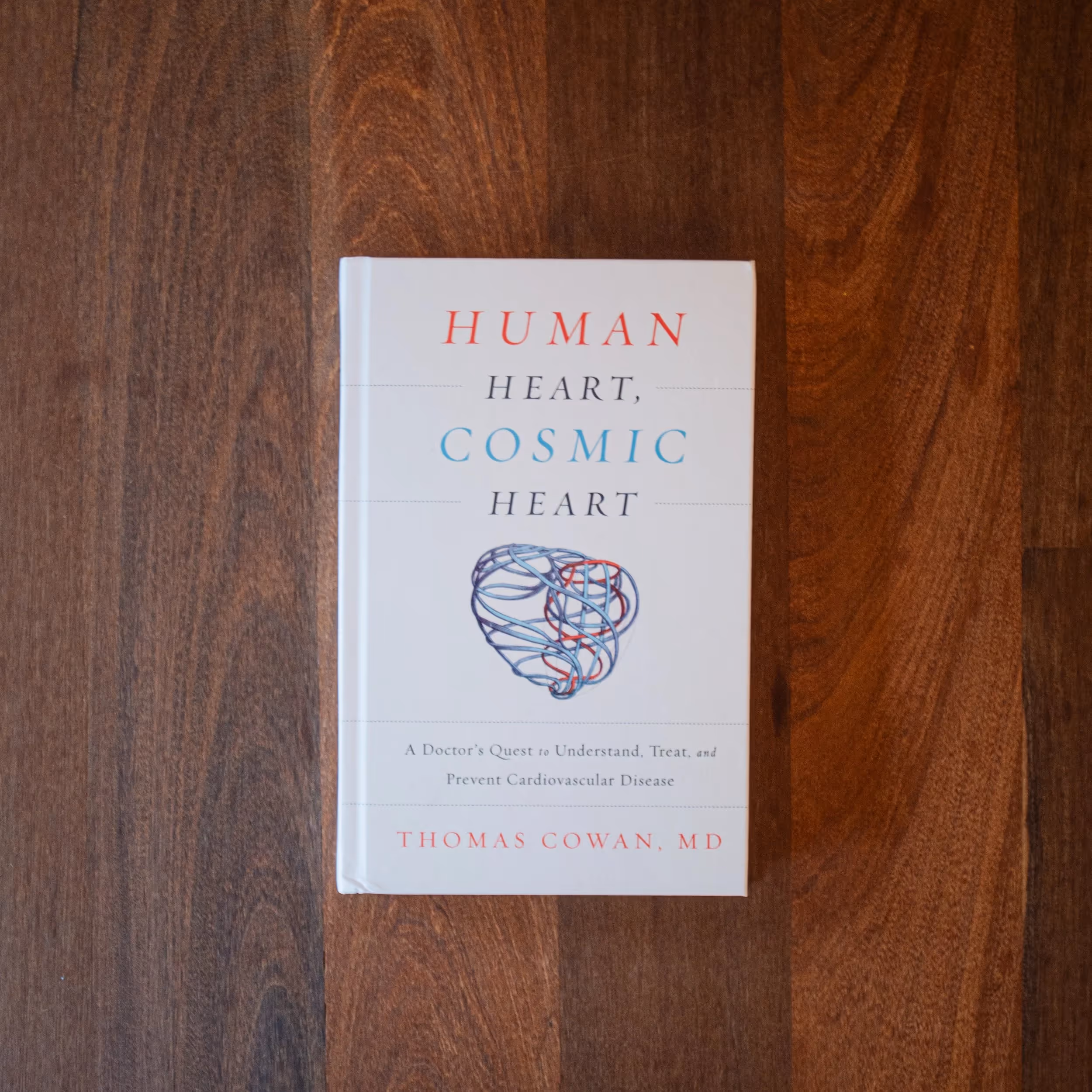 Human Heart, Cosmic Heart