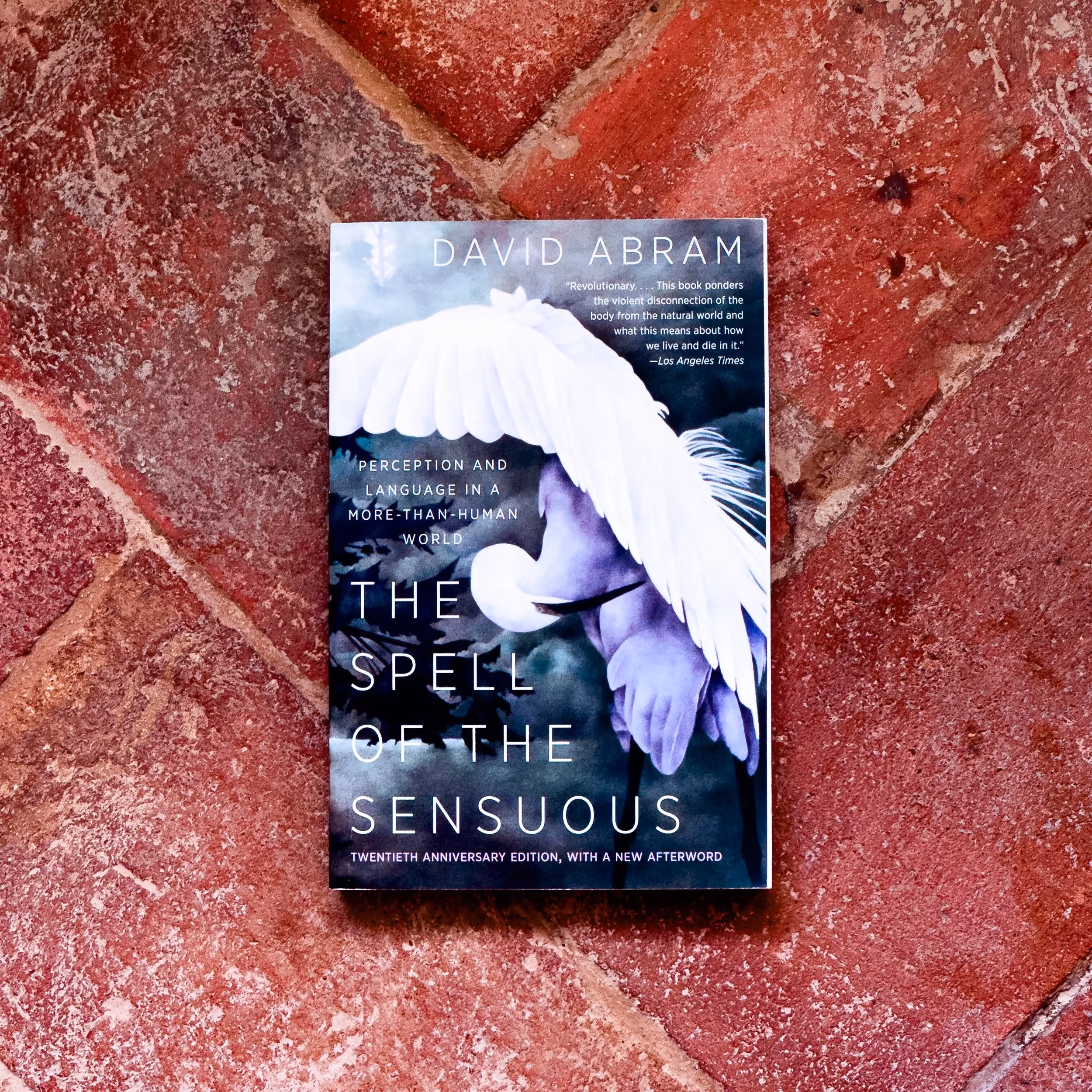 The Spell of the Sensuous