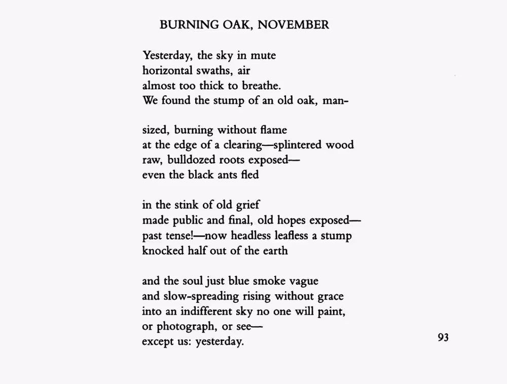 Burning Oak, November