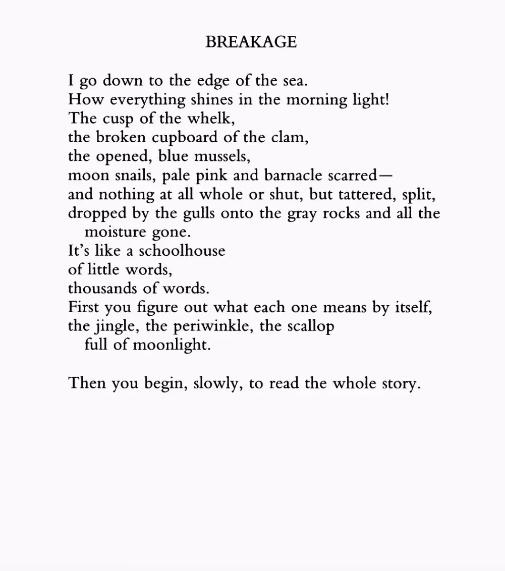 Breakage