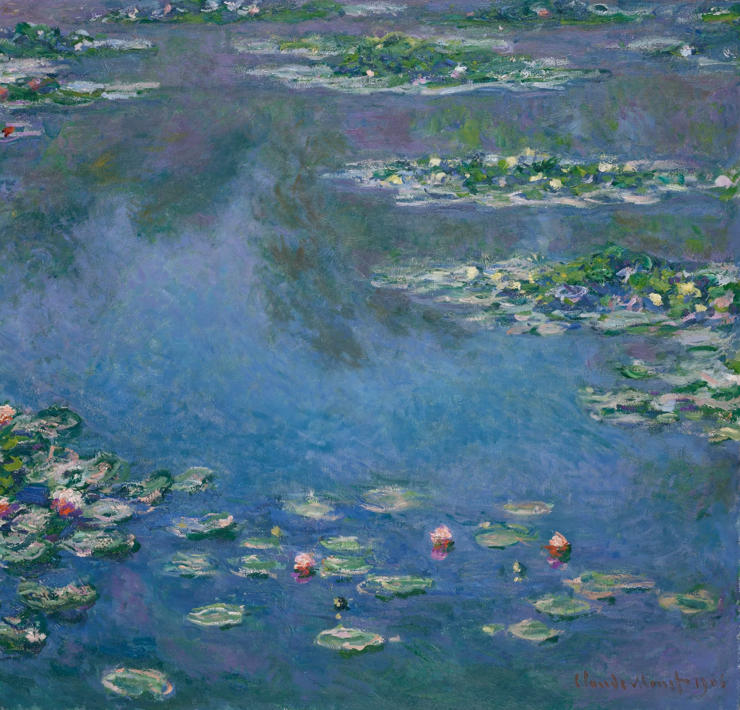 Water Lilies