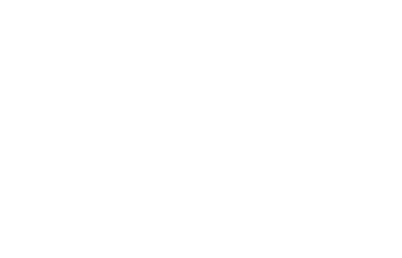 a2