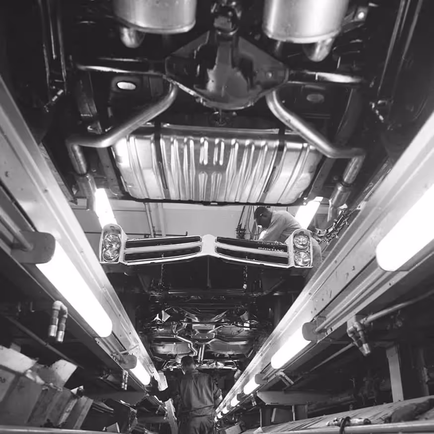 Iggy Pop Playlist
