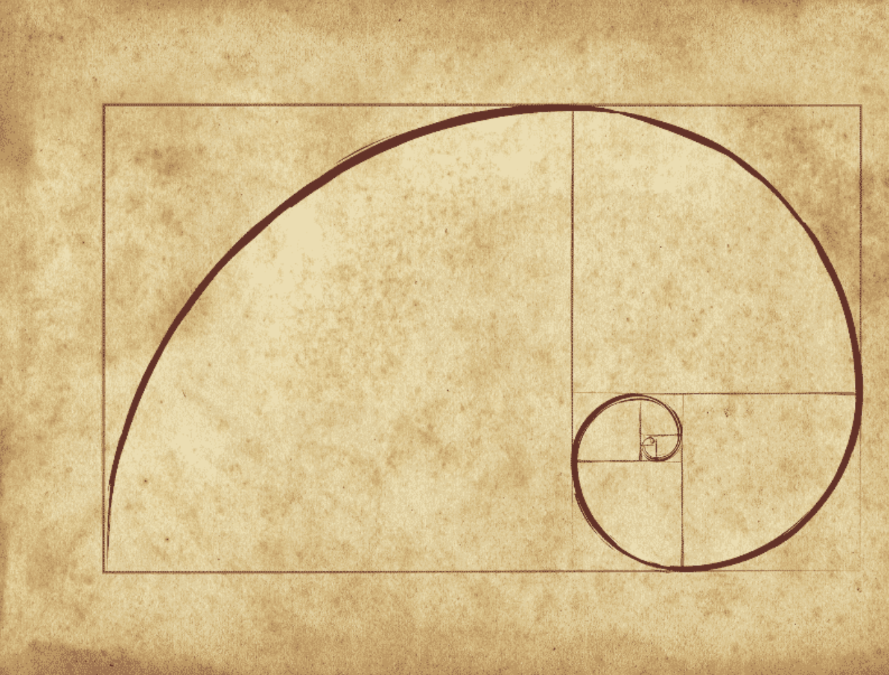 The spiral and golden rectangle of the Fibonacci sequence