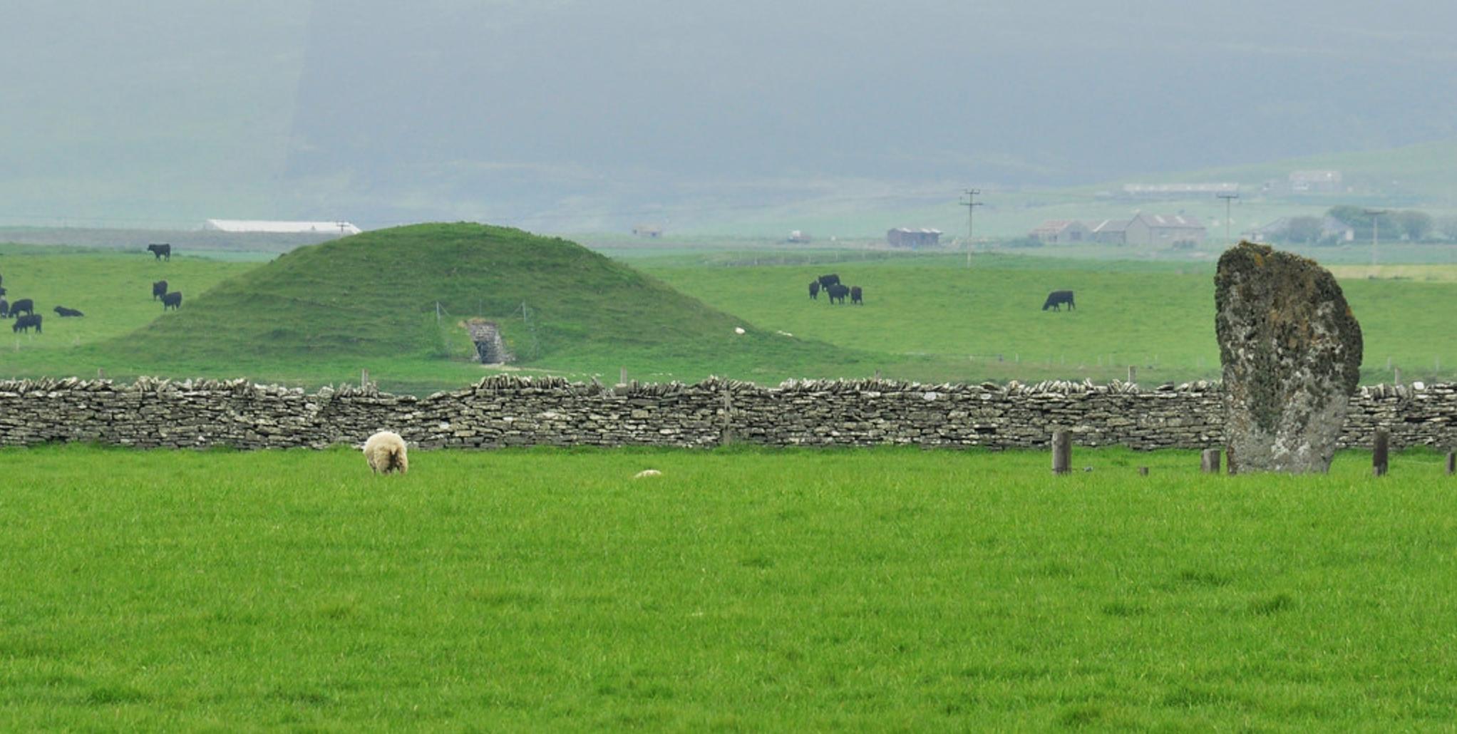 The Barnhouse Stone, on the left, aligns perfectly with the entrance to Maeshow, the mound on the right, so that on the day of midwinter, the sun...