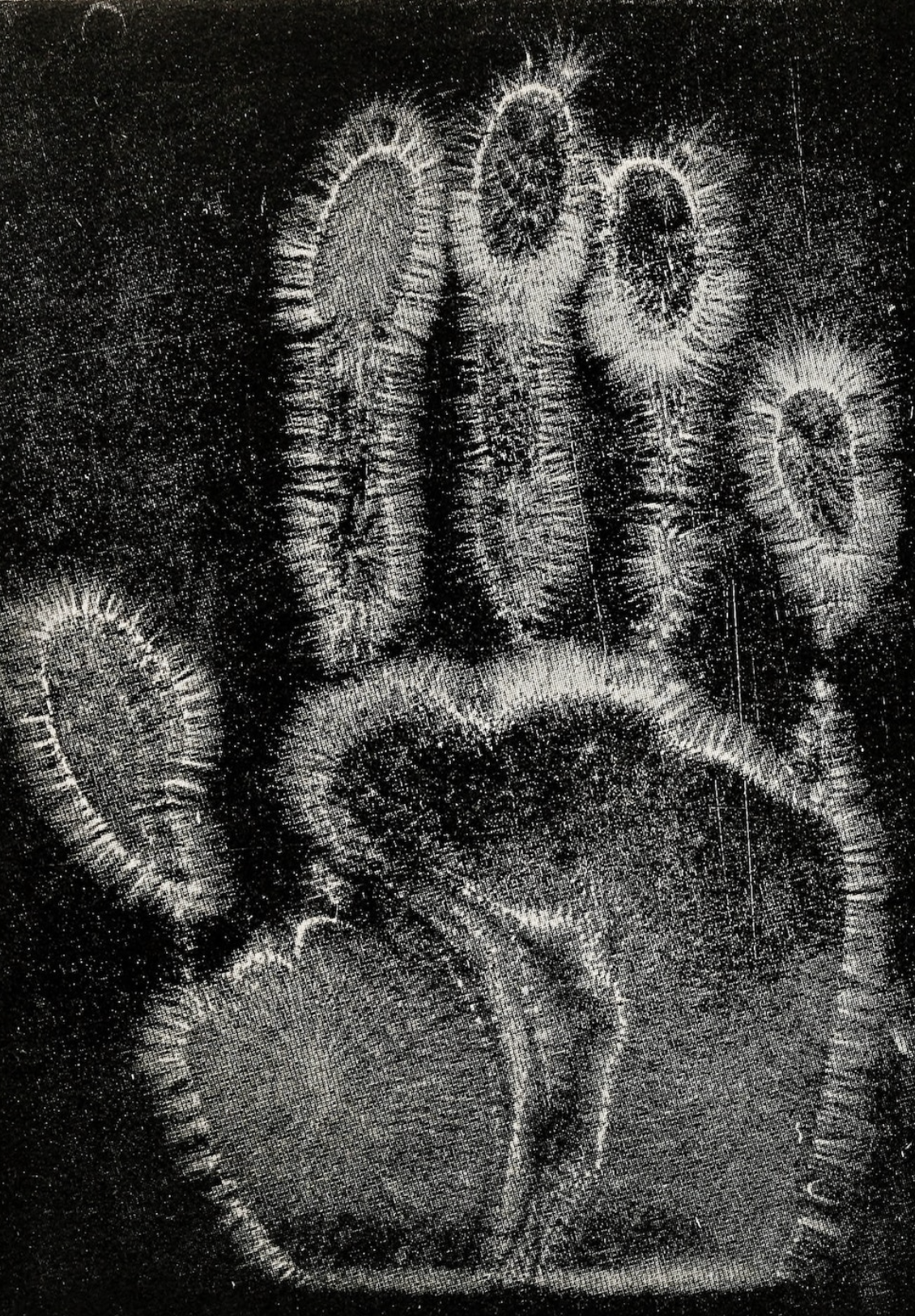 “The Human Soul: Its Movements, Its Lights, and the Iconography of the Fluidic Invisible”, Hippolyte Baraduc. 1913