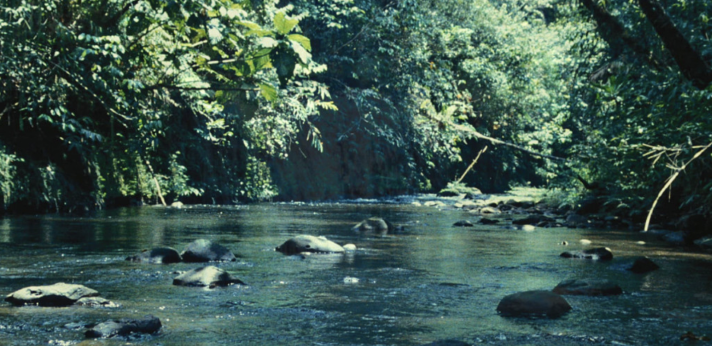 Feld, Steven. “Acoustemology.” Environmental Humanities Center, University of California, Santa Barbara, 2025