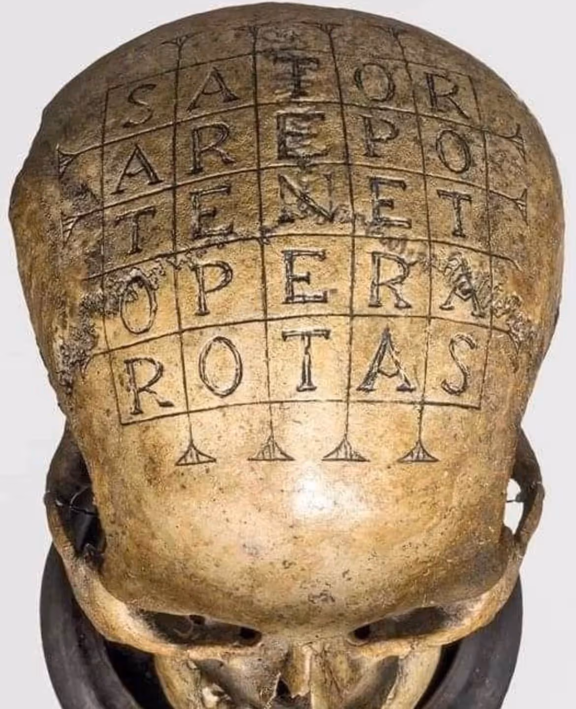 Oath Skull with Sator Square carved into bone