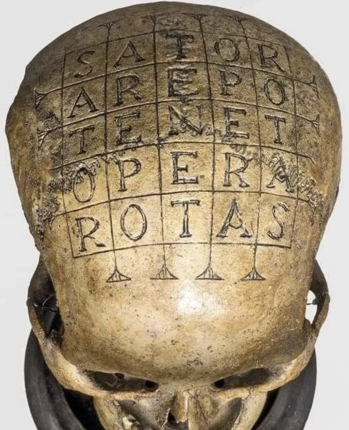 Oath Skull with Sator Square carved into bone