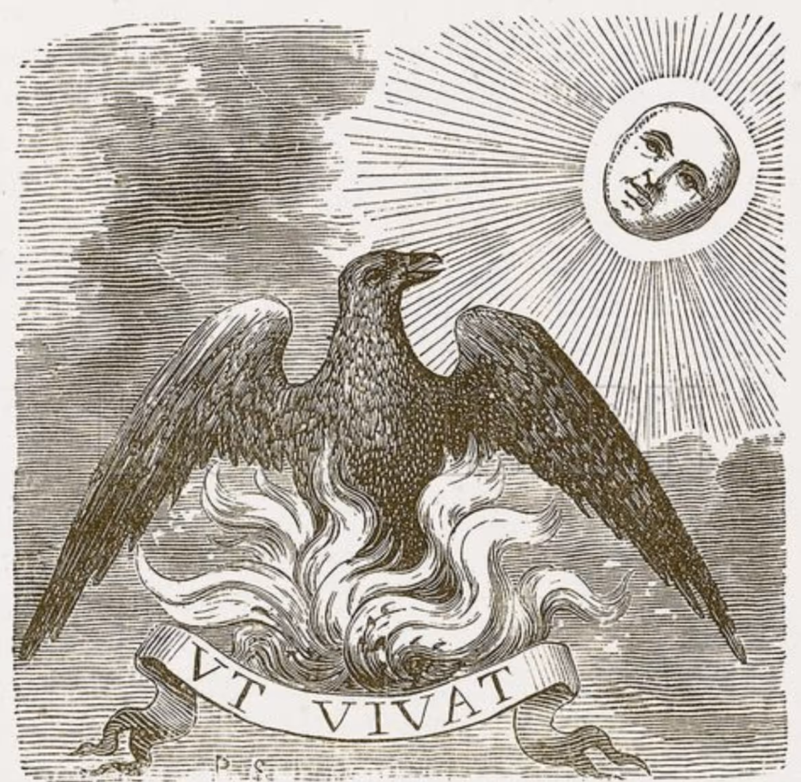 30 Fire (The Phoenix) - The I Ching