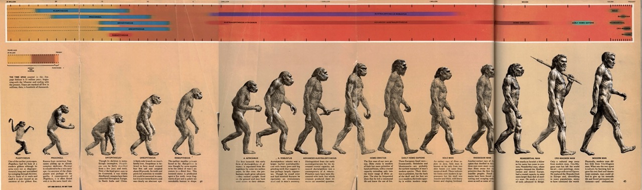 Homo Noeticus - Our Future Selves