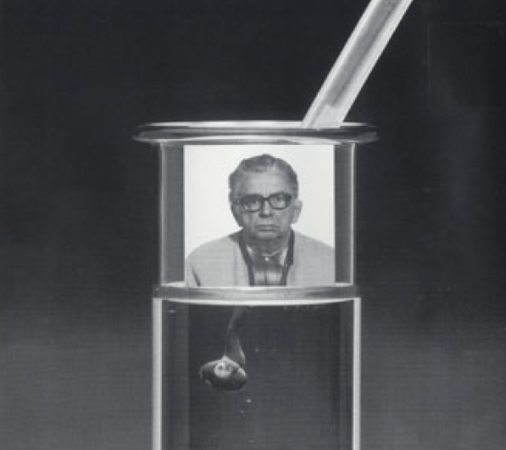 The Quantum Dadaist
