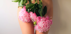 Vulvas, Vaginas, Clits, and Butts: The Definitive Guide To The Female Anatomy