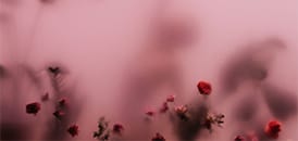 Valentine’s Day Ideas for Singles, Couples, and the Socially Distanced