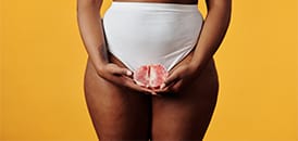 All about the vulva: What is it, where is it, and why it’s not the same as the vagina.