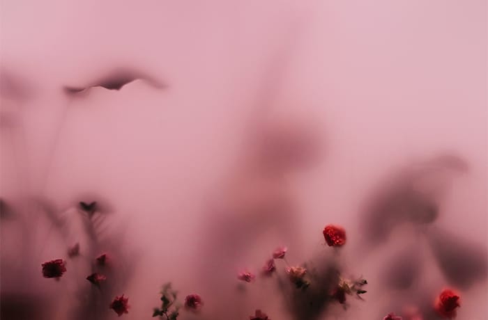 Valentine’s Day Ideas for Singles, Couples, and the Socially Distanced