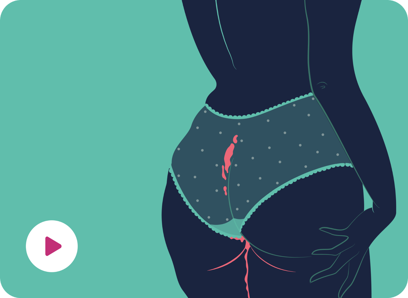 Menstrual Cycle collection