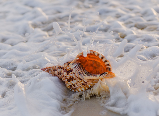 most women haven't experienced squirting