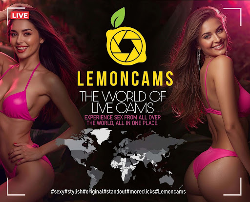 Lemoncams: The Google of the Cam World