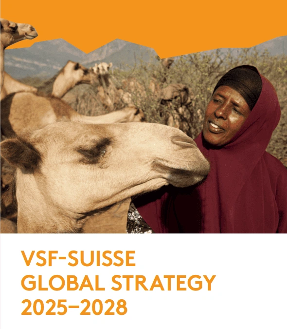 Gemeinsam für eine bessere Zukunft: unsere Strategie 2025-2028