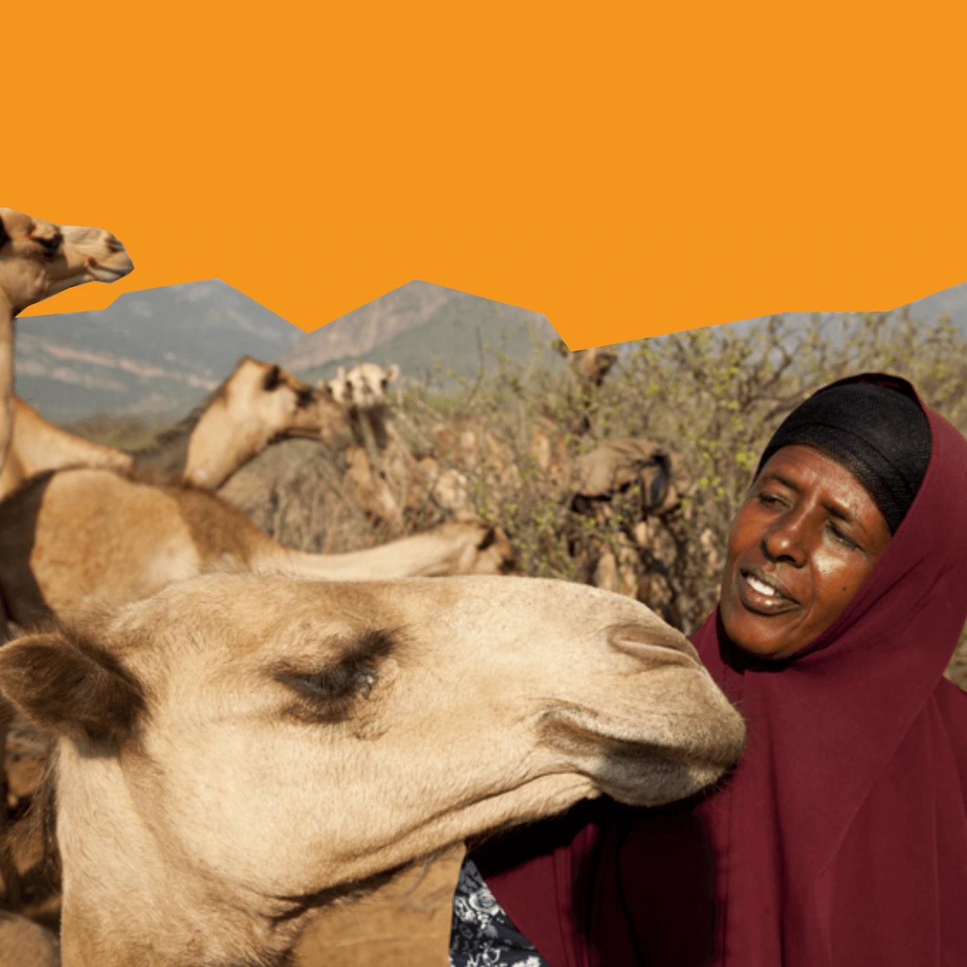 Joint VSF Strategy for the Greater Horn of Africa
