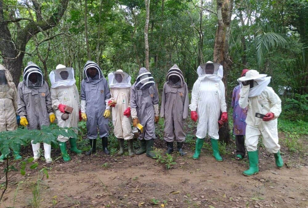 Der Ansatz „Felder als Schule“, umgesetzt von den Imker*innen von Goubi in Togo