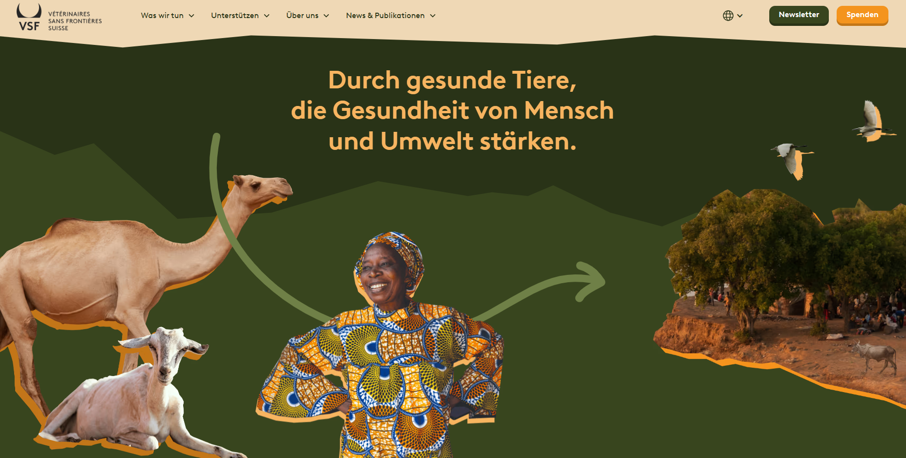 Homepage of new website showing our one health approach animals, humans and the environment