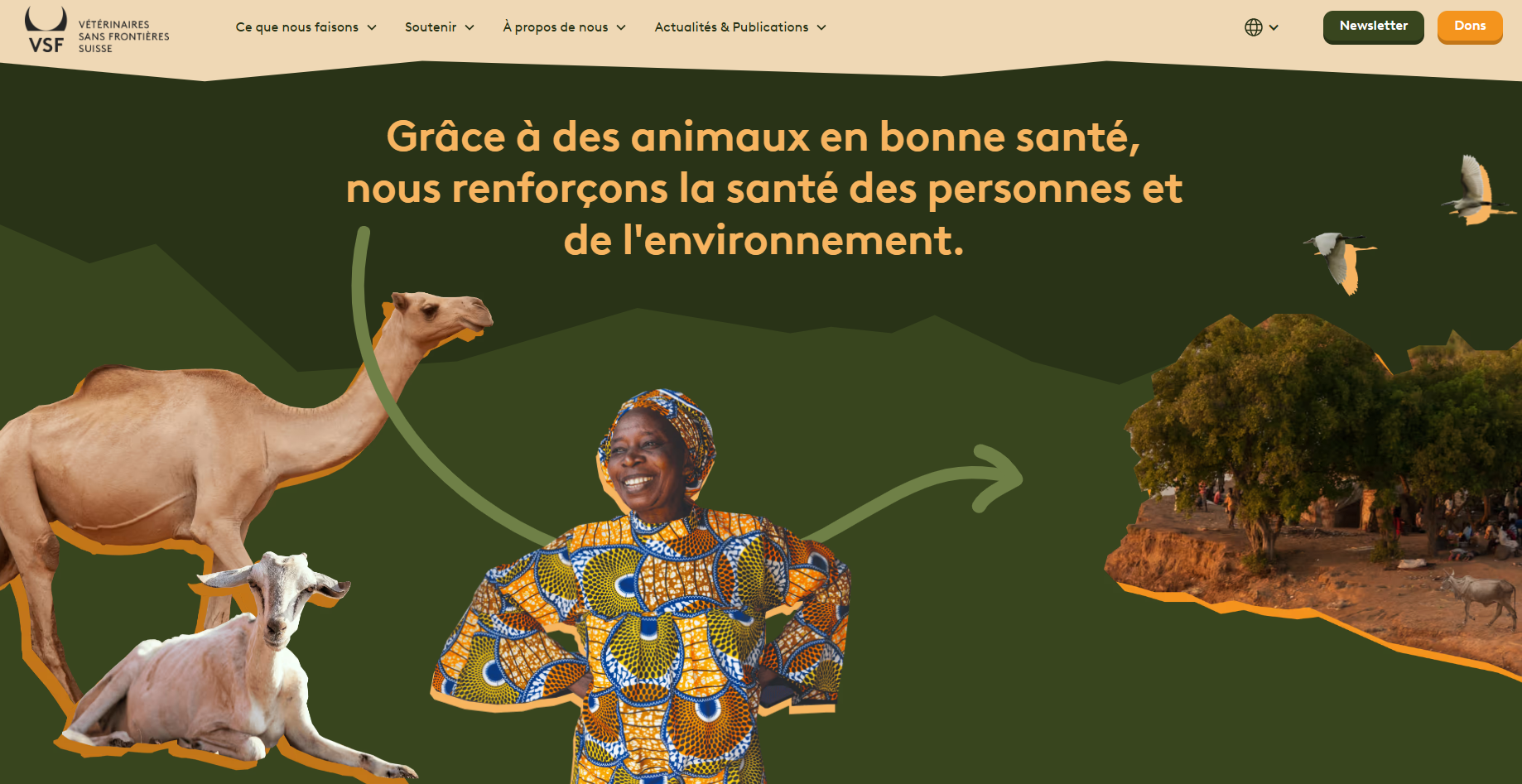 Homepage of new website showing our one health approach animals, humans and the environment