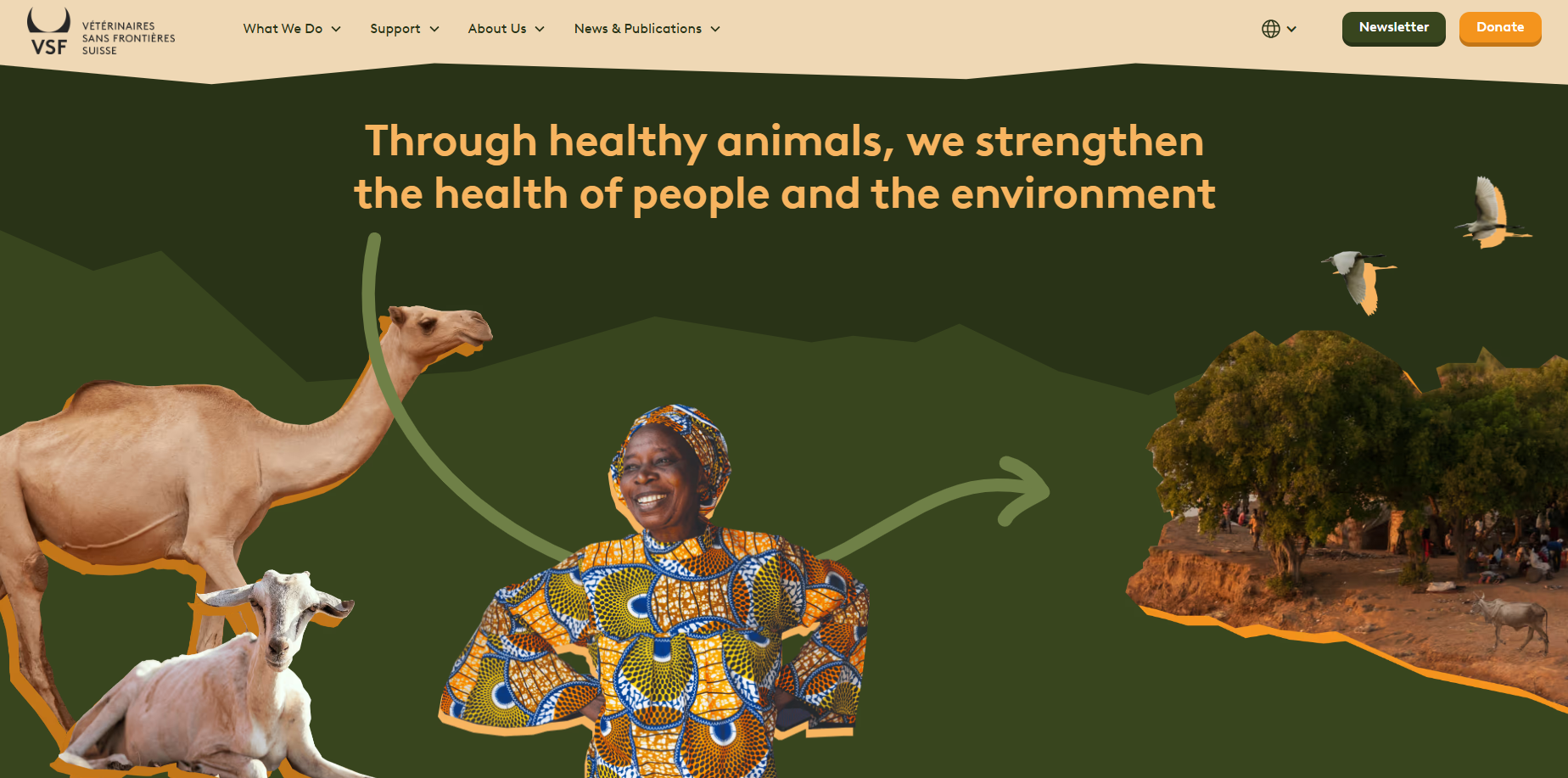 Homepage of new website showing our one health approach animals, humans and the environment