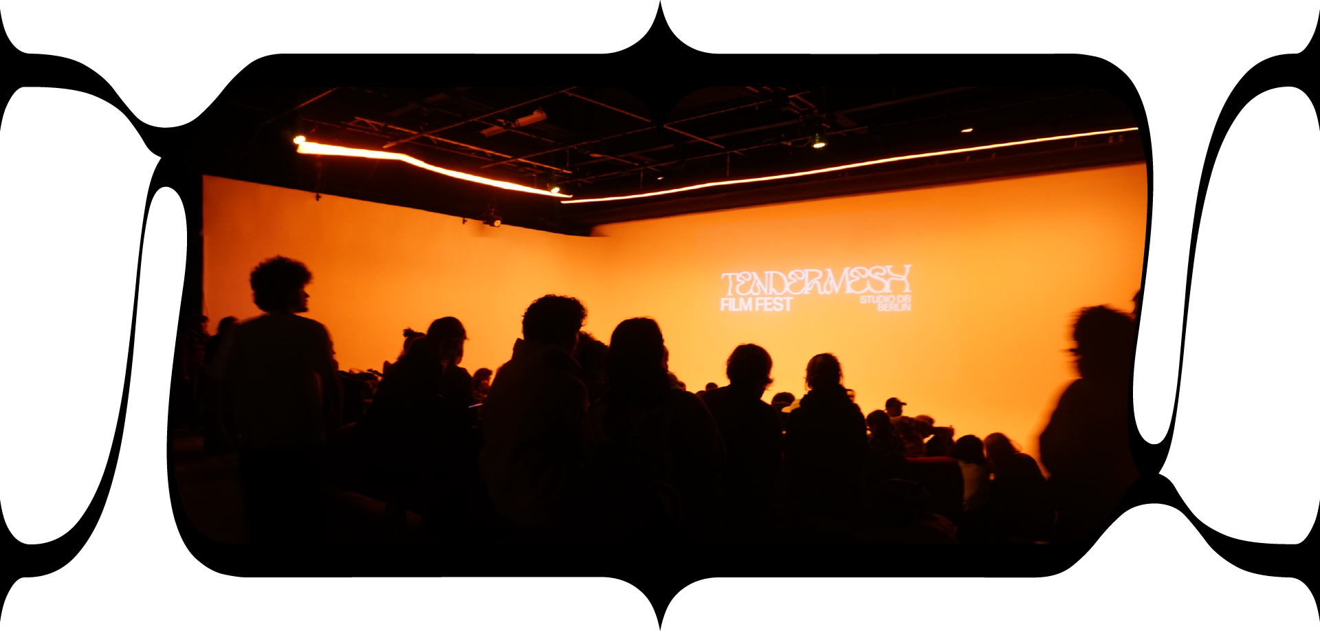 Audience members at Tendermesh Film Festival