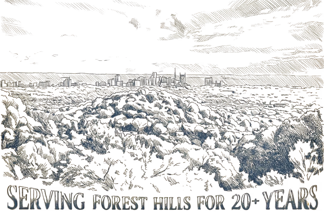 Illustration of a city skyline above wooded hills with text: Serving Forest Hills for 20+ years.