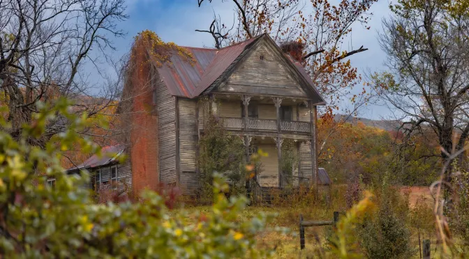 Old abandoned wooden house overgrown with vines in a rural autumn landscape.