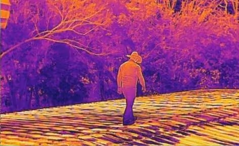 Person wearing a hat walking on a patterned surface with vibrant purple and orange tree background.